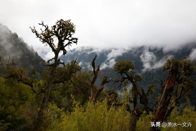 自驾滇西怒江、独龙江大峡谷（七）独龙秘境，人间绝美（1）