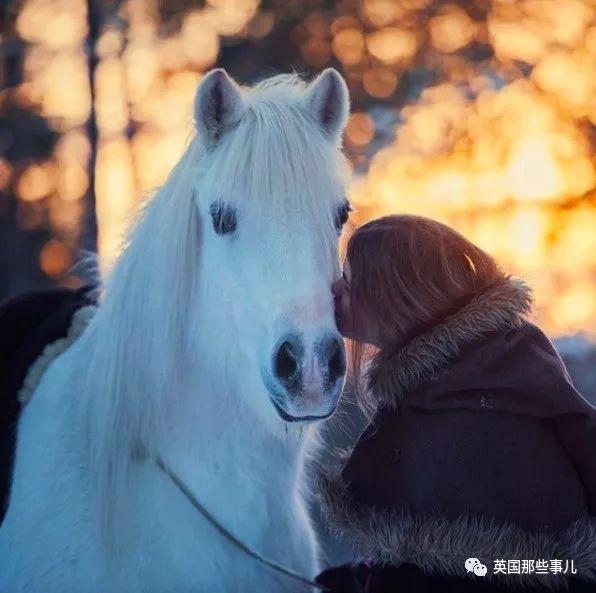 在瑞典雪地山林中，这个骑着独角兽的女孩，简直仙女啊……