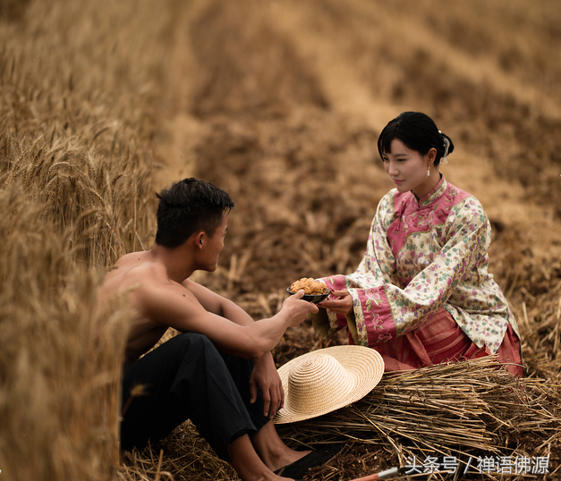 清水出芙蓉，最美女人花