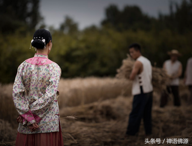 清水出芙蓉，最美女人花