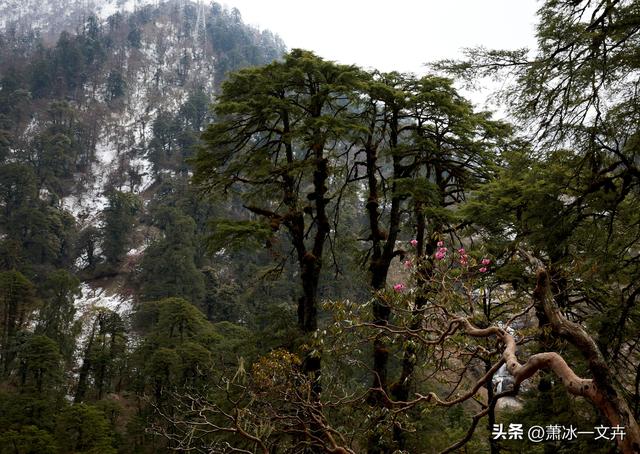 自驾滇西怒江、独龙江大峡谷（七）独龙秘境，人间绝美（1）