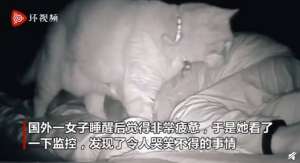 猫对美女(国外一女子半夜被猫“打”了四个小时，网友：猫咪能有什么坏心眼呢)