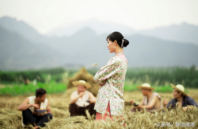 清水出芙蓉，最美女人花