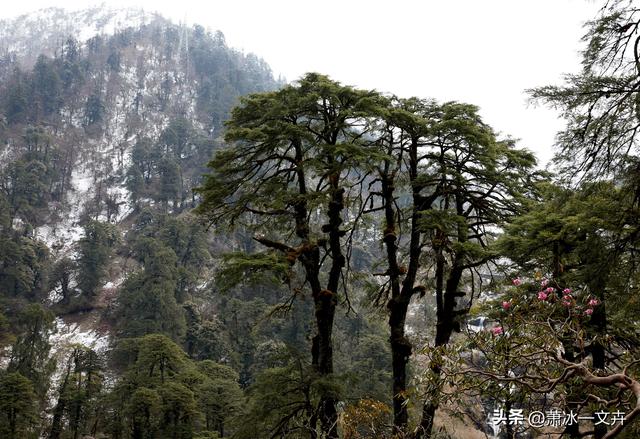 自驾滇西怒江、独龙江大峡谷（七）独龙秘境，人间绝美（1）