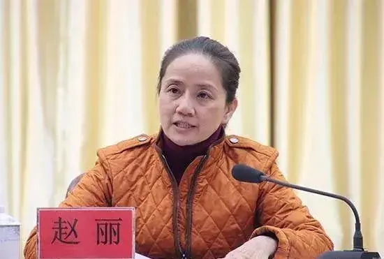 美女黄涉(副厅级“美女书记”落马)