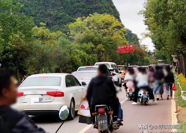 国庆期间：阳朔十里画廊成十里“车”廊，九里花海变九里“耍”海