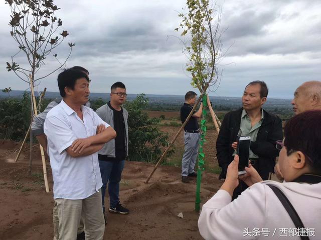 「天度采风行」扶风天度野河山贵妃杨玉环的美丽传说