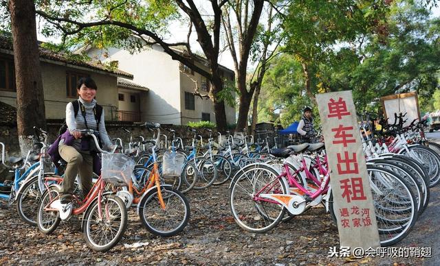 国庆期间：阳朔十里画廊成十里“车”廊，九里花海变九里“耍”海