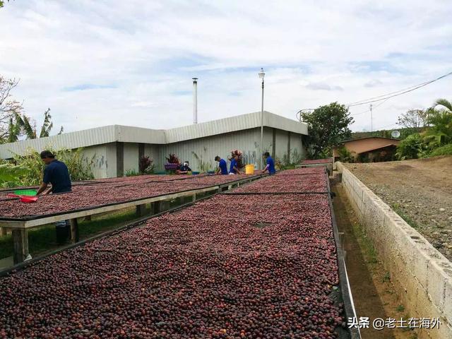 尼加拉瓜是一个怎么样的国家，带你了解真实的尼加拉瓜现状