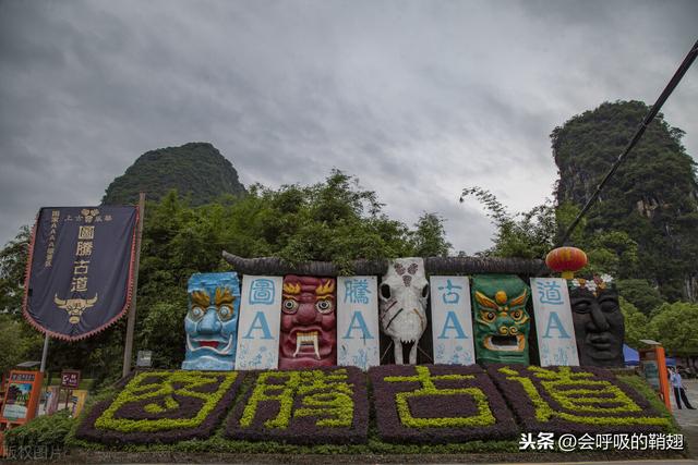 国庆期间：阳朔十里画廊成十里“车”廊，九里花海变九里“耍”海