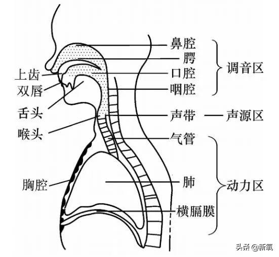 凭“美人IP”从8线颜值爬到顶尖尤物，都学学她的美商