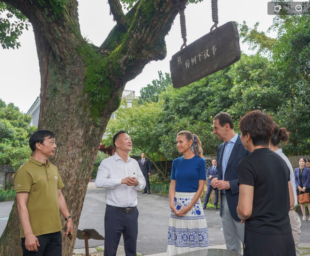 叙利亚夫人美到了北京！穿淡紫色裙子见同胞，优雅的外表把人惊艳