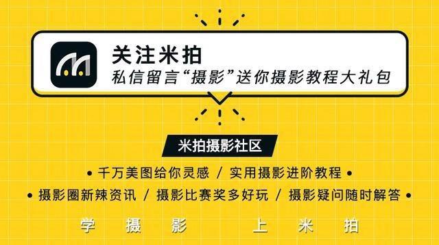 玫瑰园里的洛丽塔小公主，惊艳万分