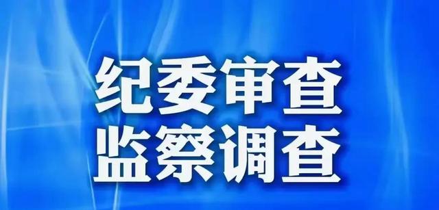 严查大战已开始！山东41岁美女董事长鞠雅被查，资产过亿