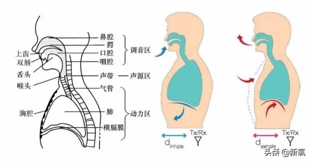 凭“美人IP”从8线颜值爬到顶尖尤物，都学学她的美商