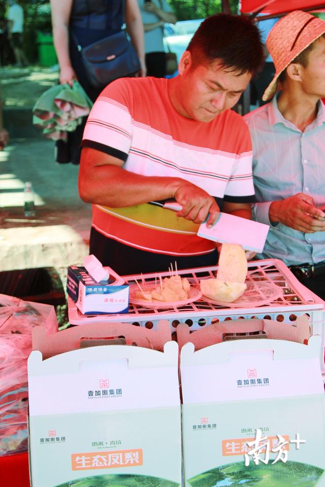 图集丨周末还宅家？快来惠来赏海景吃鲍鱼啊