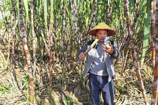 厉害了！仙桃人直播卖货玩出新花样