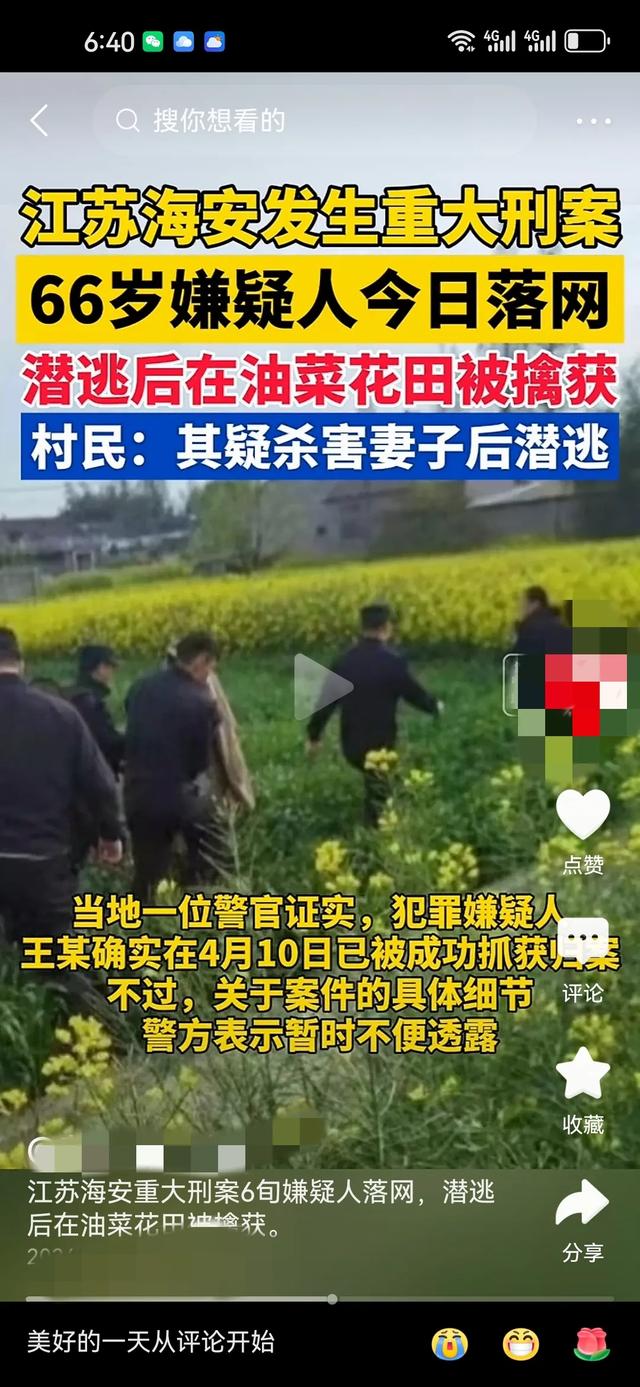 金色花田中的罪与罚：江苏海安6旬重大刑事案件嫌疑人落网始末