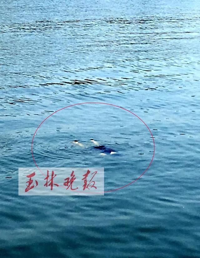 南流江浮现一无名女尸，溺亡后手机仍有未接来电！