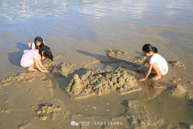 风车海湾，我和美女们观潮弄海抓章鱼！