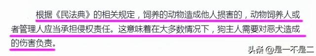 骨头都咬穿了！恶犬当街撕咬女孩，棍子打断不松口，主人跪地道歉