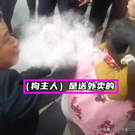 骨头都咬穿了！恶犬当街撕咬女孩，棍子打断不松口，主人跪地道歉