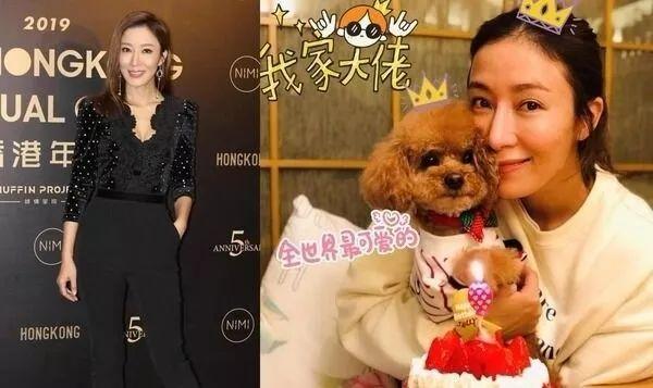 盘点TVB20位花旦素颜照 没有完美妆容后谁更漂亮？