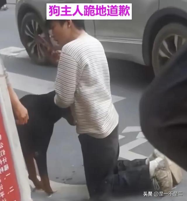 骨头都咬穿了！恶犬当街撕咬女孩，棍子打断不松口，主人跪地道歉