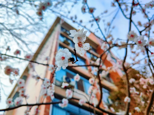 惊艳来袭！山东“最美校花”高清大图曝光，坐拥“神仙”颜值