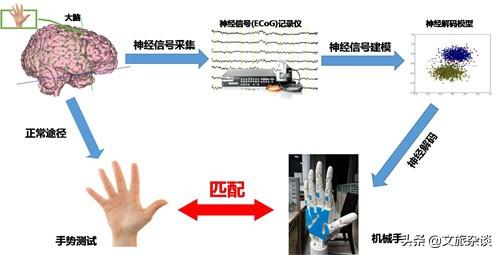 从上海科技馆的脑电波比试游戏来谈：意念控制，离我们还有多远？