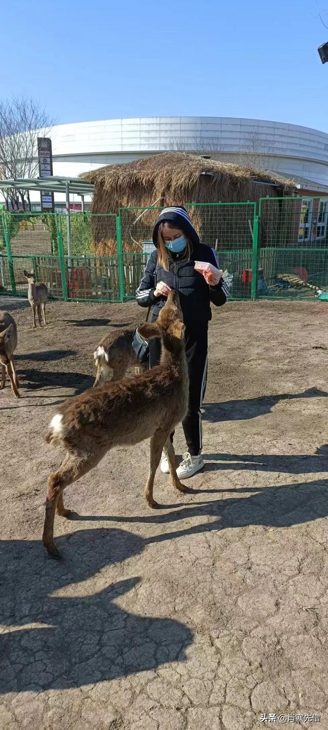 天津小伙，和网恋一年结婚，婚后过着幸福的二人世界