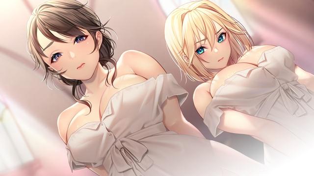 《我与公主骑士及侍女的慢活生活》：画风实用的拔作GALGAME