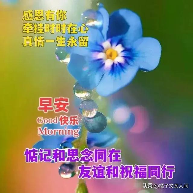 周六早上好，精选早安温馨祝福动态美女图片带字，群发问候祝福语