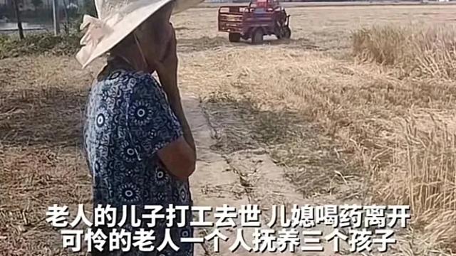 眼泪止不住了！农机手义割麦，助力孤寡老人抚养孙辈