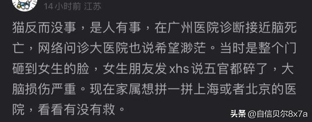 飞来横祸！美女带小猫看病自己却重伤成脑死亡！五官模糊昏迷14天