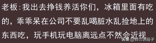 被老板养着是一种什么体验？网友的分享引起万千共鸣