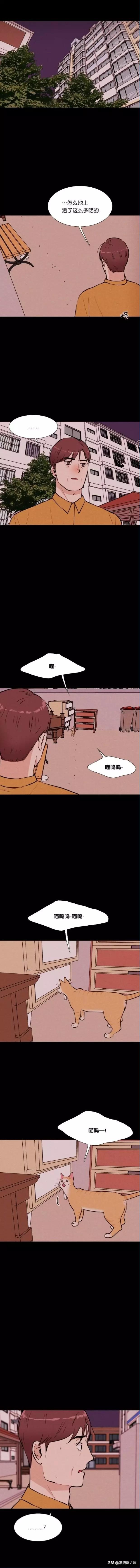 漫画《小猫》关于母性，不管是人类还是动物都是会有的