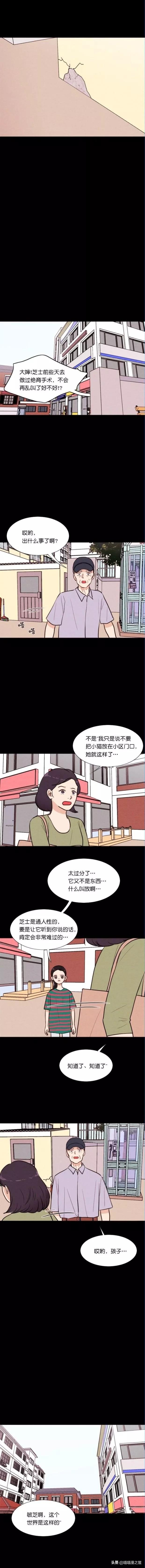 漫画《小猫》关于母性，不管是人类还是动物都是会有的