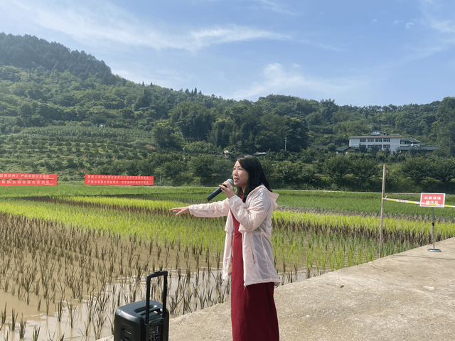 流转托管撂荒地5000余亩，飒爽美女甘当“田保姆”