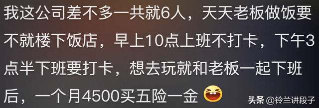 被老板养着是一种什么体验？网友的分享引起万千共鸣