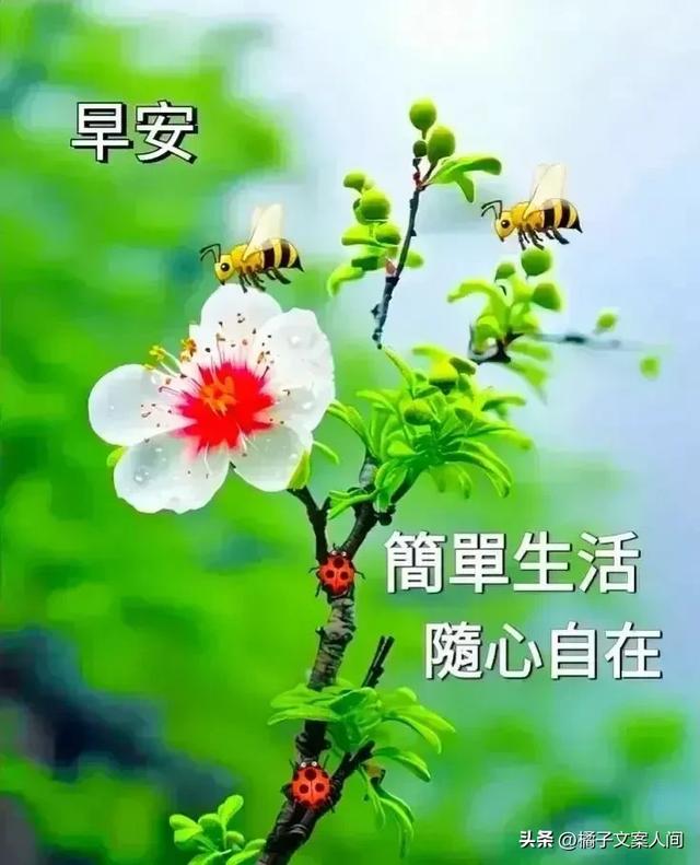 周六早上好，精选早安温馨祝福动态美女图片带字，群发问候祝福语