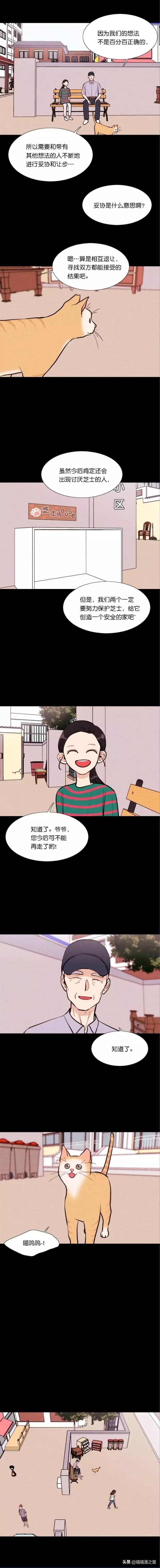 漫画《小猫》关于母性，不管是人类还是动物都是会有的