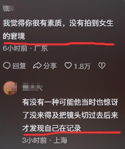 笑不活了！女子与海象互动不慎被“热情”拥抱落水，网友回复笑喷