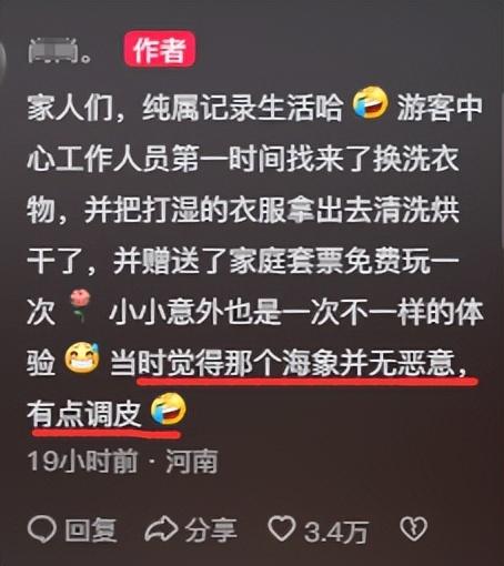 笑不活了！女子与海象互动不慎被“热情”拥抱落水，网友回复笑喷