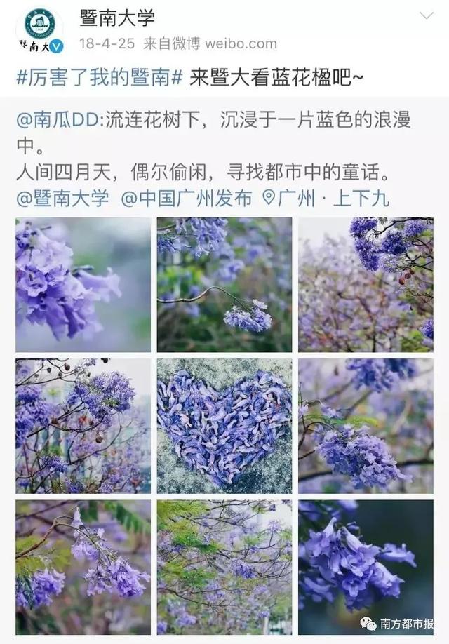 暨大校花太撩人，小姐姐靓爆镜！网友：像极了爱情