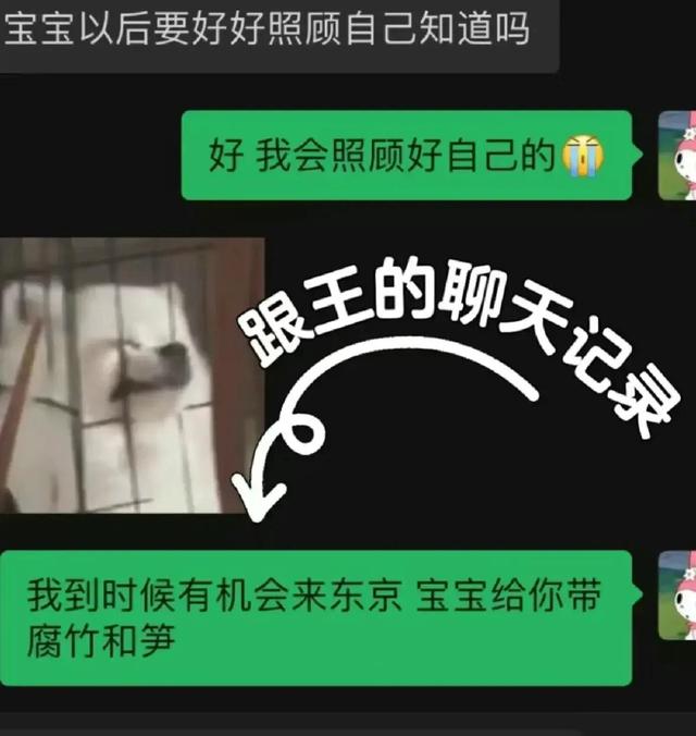 小羽和王思聪分手后状态不好坦言：差点活不下来！直播时拿鞋怼人