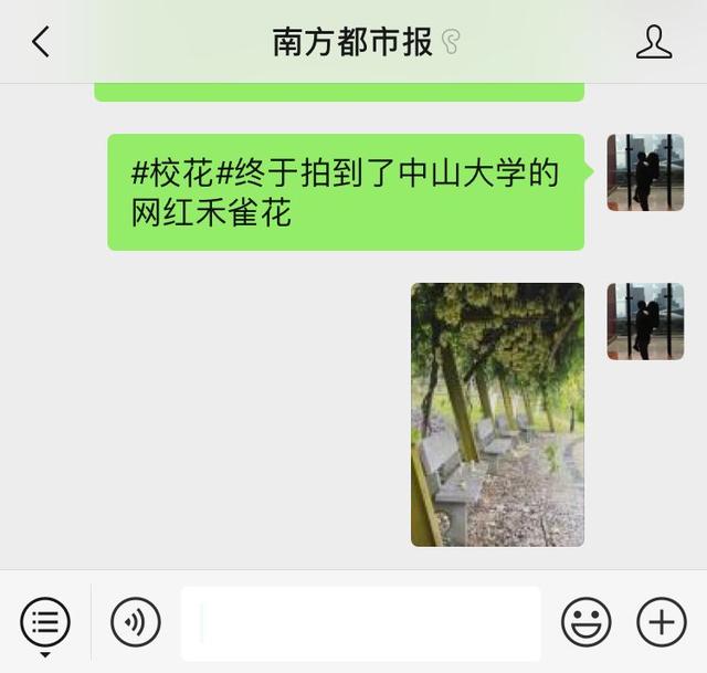 暨大校花太撩人，小姐姐靓爆镜！网友：像极了爱情