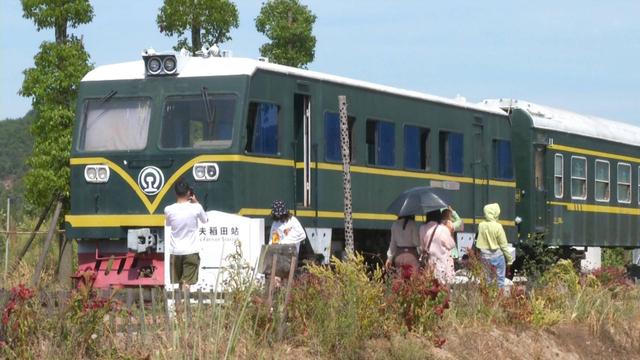 美女花200多万元跨省搬火车，将稻田变网红打卡地！游客慕名而来，基地生意相当火爆