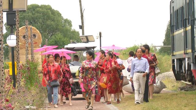 美女花200多万元跨省搬火车，将稻田变网红打卡地！游客慕名而来，基地生意相当火爆