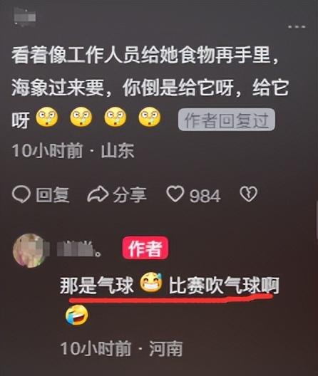 笑不活了！女子与海象互动不慎被“热情”拥抱落水，网友回复笑喷